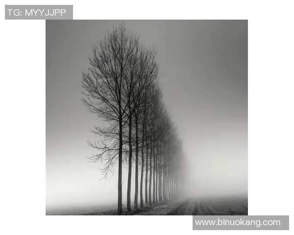 亚当斯的传奇人生与时代变迁的深刻影响探索